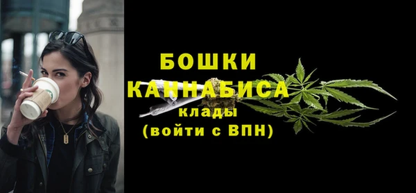 мет Ладушкин
