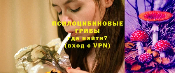 ПСИЛОЦИБИНОВЫЕ ГРИБЫ Лабытнанги