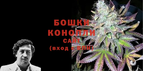 ПСИЛОЦИБИНОВЫЕ ГРИБЫ Лабытнанги