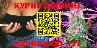 стафф Будённовск