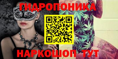 твердый Будённовск