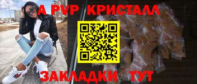 стафф Будённовск