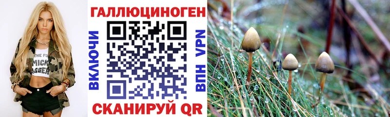 Галлюциногенные грибы мицелий  kraken ONION  Грозный 