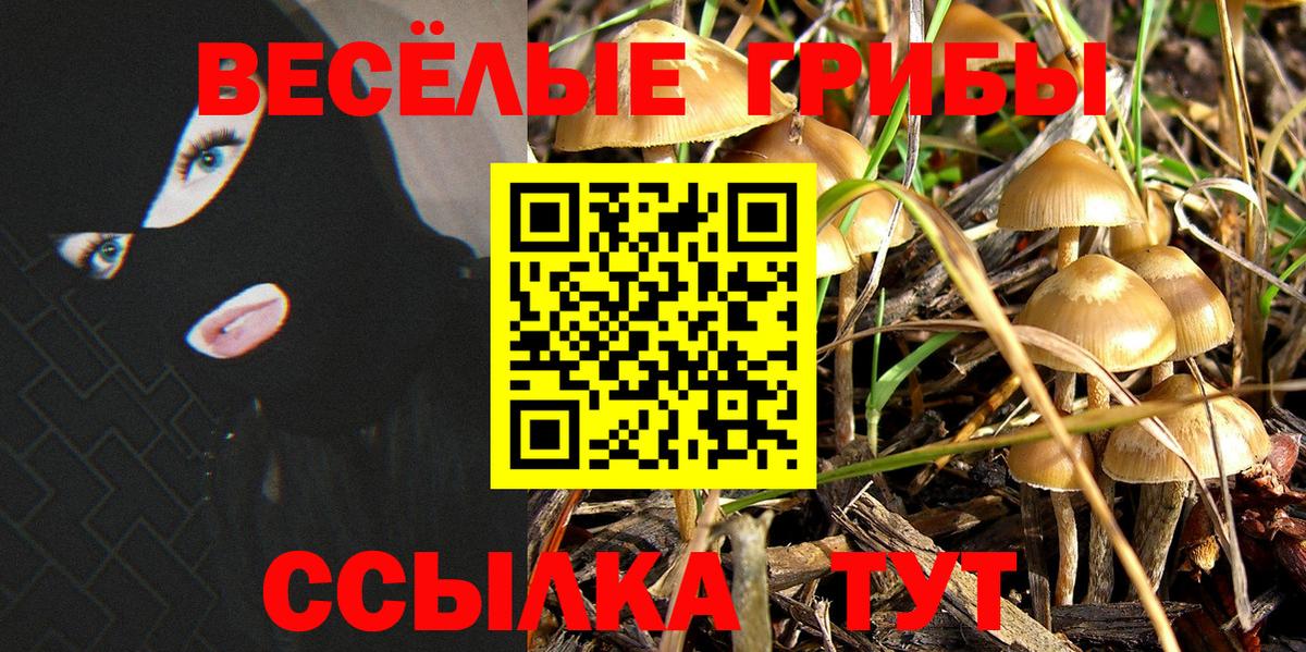 Галлюциногенные грибы мицелий Грозный