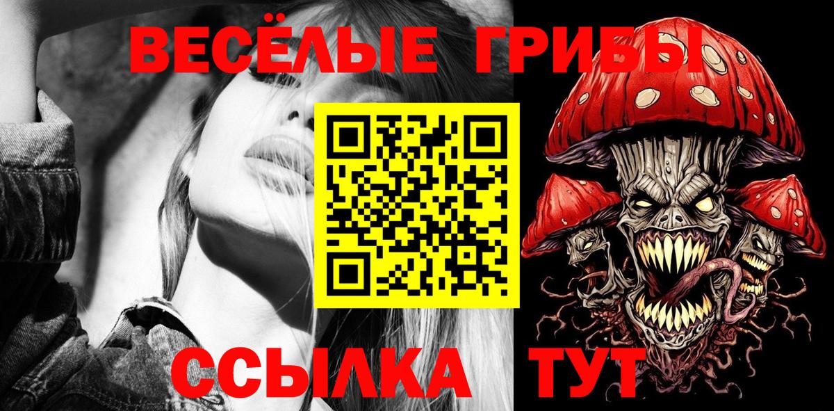 Галлюциногенные грибы прущие грибы  Галлюциногенные грибы MAGIC MUSHROOMS  Грозный 