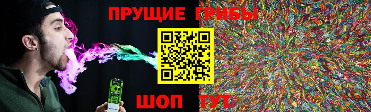 Псилоцибиновые грибы MAGIC MUSHROOMS Грозный